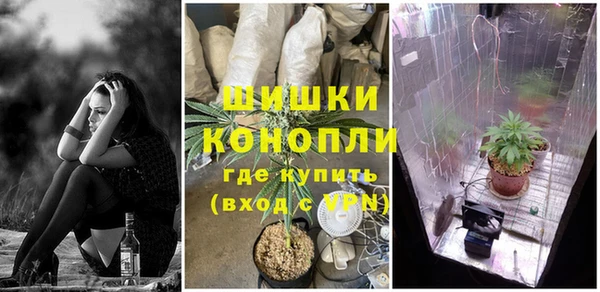 ГАЛЛЮЦИНОГЕННЫЕ ГРИБЫ Богородск