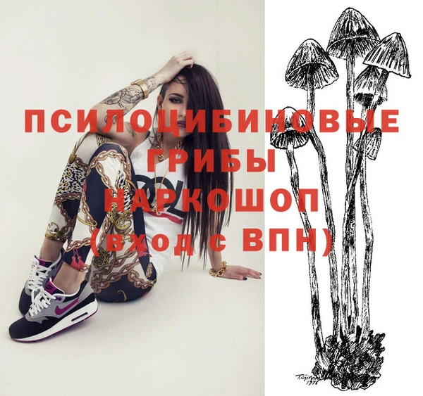 ГАЛЛЮЦИНОГЕННЫЕ ГРИБЫ Богородск