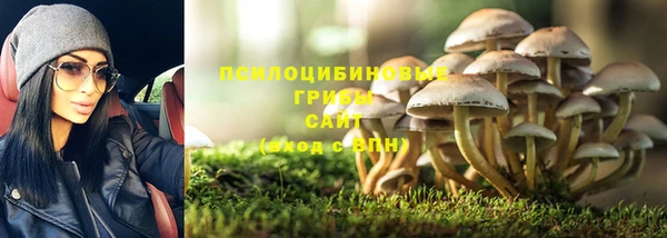 каннабис Богородицк